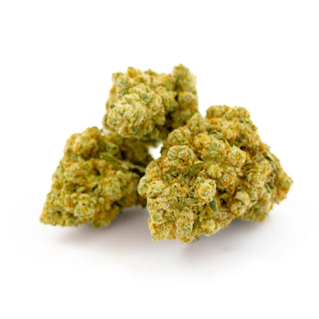 copie de Lorem ipsum